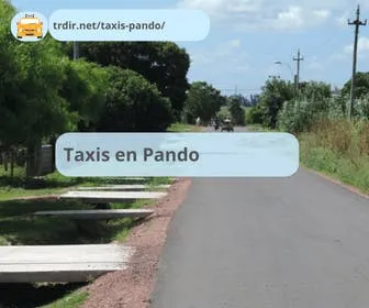 Imagen destacada del artículo taxis en Pando